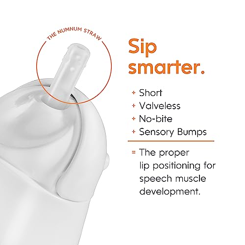 NumNum Weighted Straw Cup for Infant & Toddler 6-12 months - Expert Endorsed - 7oz Training Baby Cups w/Removable Handles - Easy to Use Self Feeding & Drinking Skills - Food-Grade Silicone (Green)