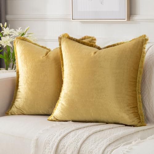 FUTEI Gold Velvet Decorative Throw Pillow Covers 20x20 Set of 2,Soft Cozy Edge with Tassels Cushion Case,Boho Modern Home Decor for Couch Bed Living Room