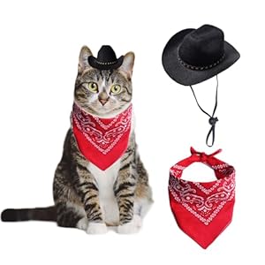 AWOCAN Cowboyhut für Hunde, Katzen, Cowboyhut, Mini-Cowboyhut für Hunde, Katzen, Haustierkostüm, mit Bandana, Schal, Urlaub, Halloween, Haustier-Party-Dekoration (schwarz, klein)