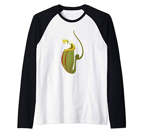 Carnivorous Nepenthes Pitcher Plant - Botany Plant Lover Manche Raglan