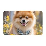 Facile à nettoyer : il suffit de nettoyer le paillasson d'intérieur et d'extérieur robuste avec un balai ou un aspirateur, tout en tapotant le dos en caoutchouc ou en secouant les tapis commerciaux discrets. Pour un nettoyage en profondeur, rincez avec un tuyau d'arrosage et suspendez le paillasson dans un endroit ventilé.