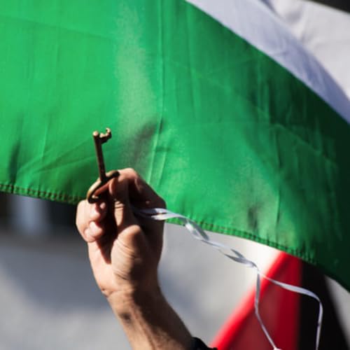 Plano de paz de Trump reacende debate sobre conflito em Gaza