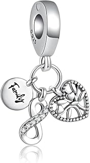 Family Heart Charm 925 Sterling Silver Pendant,Jewelry Beads Gifts for Women Bracelet&Necklace