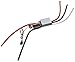 Castle Creations PHX Edge Lite 100 Amp Electronic Speed Controller with 5 Amp BEC