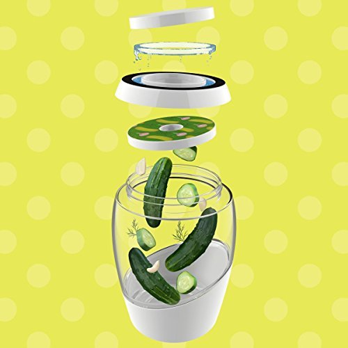 Mortier Pilon 2L Fermentation Crock Crock-2L, 2 L #TOP2