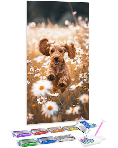 Diamond Painting DIY de cachorro corriendo: crea con amor un tierno cuadro Jumpdot 70x40 cm