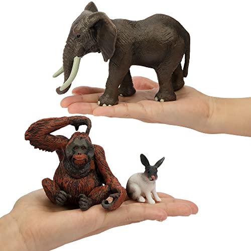 image for Toymany 12PCS Realistic Jungle Animal Figurines, 2-6