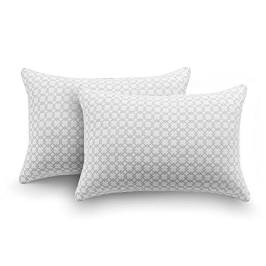 Beautyrest Bed Pillow Featuring Charcoal Lux Technology - Premium Adjustable Memory Foam Cluster Filling - Medium Density Loft for Back and Side Sleepers - Standard / Queen Size 20" x 28" - 1 Pack