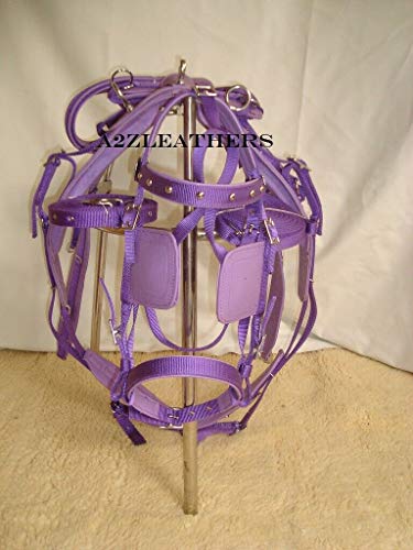 Leather Ride Nylon Driving Harness for Single Horse (Beige/Brown)