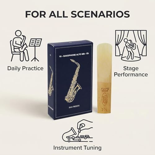 JEEUE Alto Saxophone Reeds Strength 2.5, 10-Pack - Professional Quality Cane for Students & Beginners, Consistent Sound & Easy to Play, Includes Individual Case (Compatible with Alto Sax) by JEEUE - Image 3