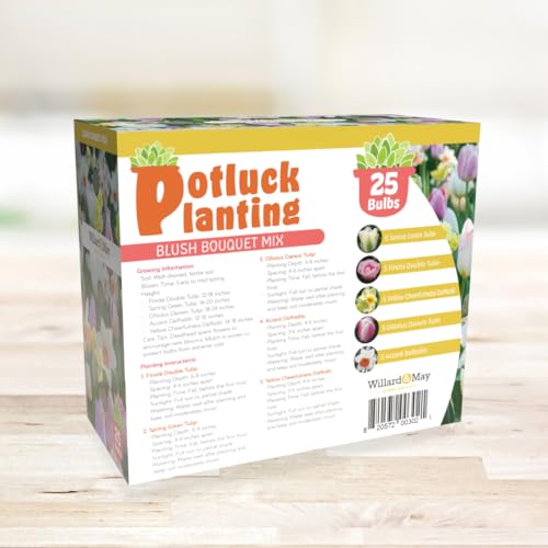 All-in-One Flower Garden Kit - 25 Flower Bulbs Per Box - Potluck Planting Blush Bouquet Mix - Tulip and Daffodil Mix - Fragrant - Naturalizing - Live Outdoor Garden - Easy to Plant Flowers