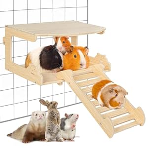 OiiBO Guinea Pig House Hideout, Wooden Guinea Pig Platform with Stairs, Small Animal Bed Castle Habitats for Hamsters Bunny Chinchillas Playing & Sleeping Hut (Rectangle)