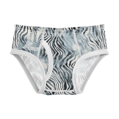 visesunny Boys Cotton Underwear Ink Zebra Print Printed Toddler Soft Training Briefs Size 2T-8Y for Kids