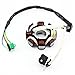 QAZAKY Magneto Stator AC Ignition Coil 8 Pole 5-wire Compatible with GY6 125cc 150cc ATV Scooter Moped Go Kart Buggy Quad 4-stroke Pit Dirt Bike QMI152 QMI157 QMJ152 QMJ157 TaoTao Roketa Buyang Sunl