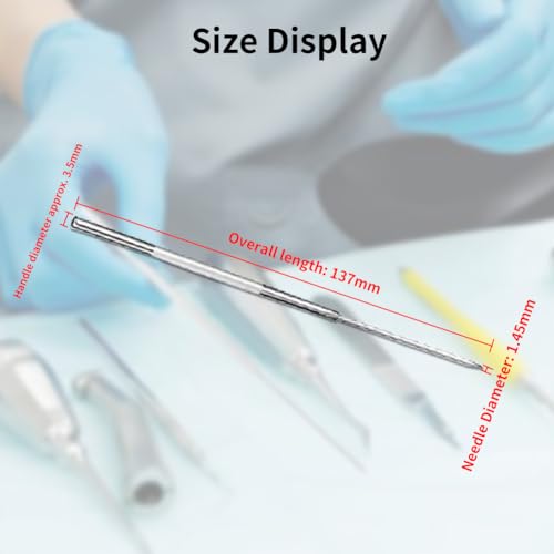 Dissektion Nadeln, Edelstahl Dissektion Nadel, Experimentier Nadel Set aus Edelstahl Dissektionsnadel, Insektendissektionsnadel-Präparationswerkzeug, für Insekten Experimente Präpariernadel, 5PCS