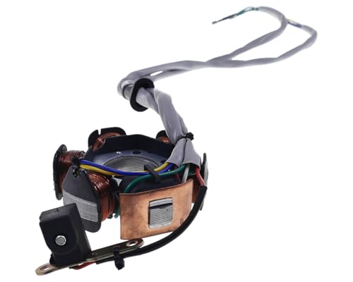 2EXTREME Lichtmaschine Stator kompatibel für Piaggio Sfera NSL 50, Zip SSL 25-99, TPH Typhoon 50, Sfera RST 50, NRG 50 mc2 LC, Zip Fast Rider 50, NRG 50