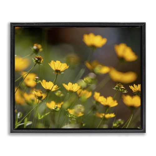 Yellow Daisy Wildflower Field, 16 x 20 Inch Canvas in Floater Frame