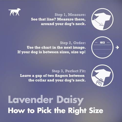 Image of Tuff Pupper Premium Adjustable Dog Collar, Stylish Pattern Collars Designed in USA, Quick Release Buckle, Lavender Daisy XL (1.25 Inch Wide x 20-30 Inch Neck)