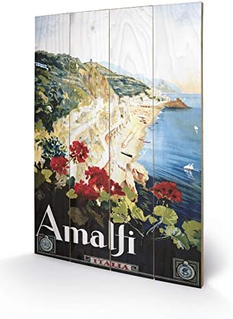 Piddix (Amalfi 40 x 59cm Wooden Wall Art, Multicolour
