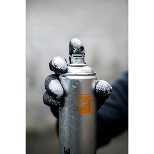 Montana Cans Ultra Wide Spray Paint, 750Ml, Chrome, 25 Fl Oz (Pack Of 1), (Mxuw750-Crm) #TOP2
