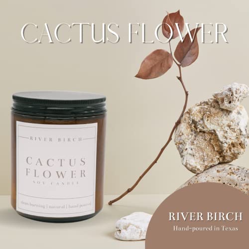 River Birch Candles Cactus Flower Scented Candle | Premium, All-Natural, Non-Toxic, Soy Amber Jar Candles | 8.5Oz 40 Hr Burn Time | Cozy Relaxing Gifts For Home #TOP1