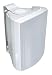 Produktbild Visaton 50311 Lautsprecher WB 13, 100V+8 Ohm weiß