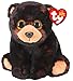 TY - Beanie Babies Orso Bruno Kodi - 15 CM