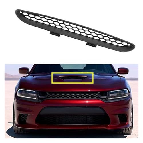 Cubierta malla capó delantero y rejilla de entrada de aire Charger Hellcat 2016-2021 4