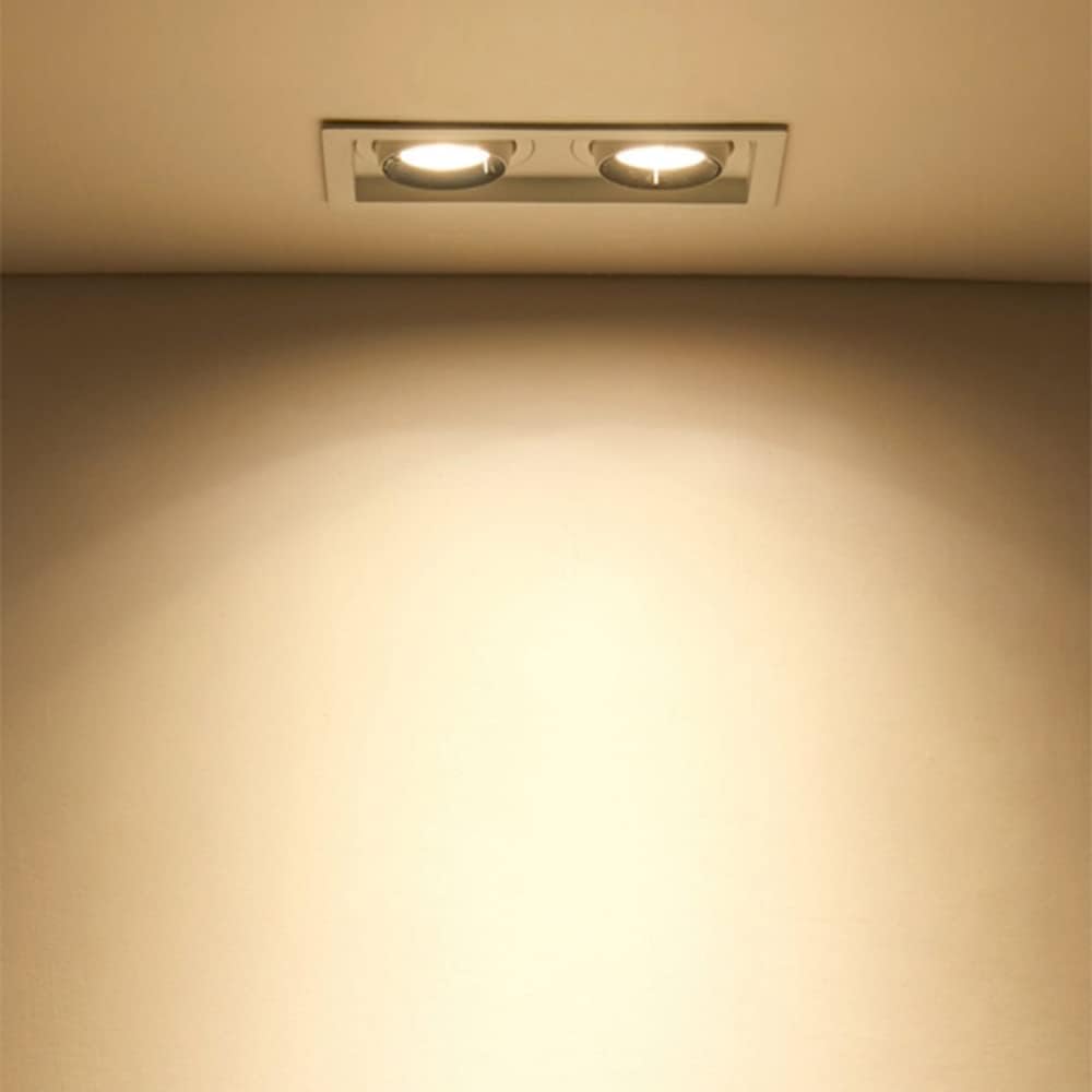 Angle Adjustable Downlight Rotatable Eyeball Spotlights 2 Heads Rectangle Can Lights 24W Replacement Recessed Conversion Kit,High Brightness-no Strobe