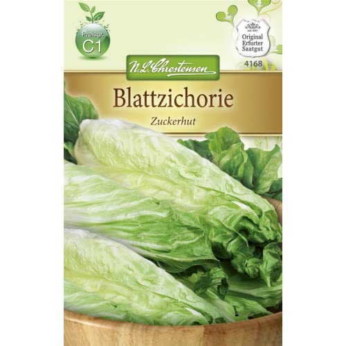 Chrestensen Blattzichorie 'Zuckerhut'