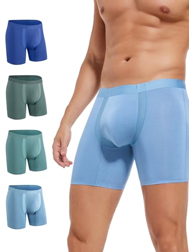 Men's 4-Pack Underwear Boxer Briefs, Cooling Mesh Zone, Moisture-Wicking Underwear, Regular, Long-Leg and Trunk