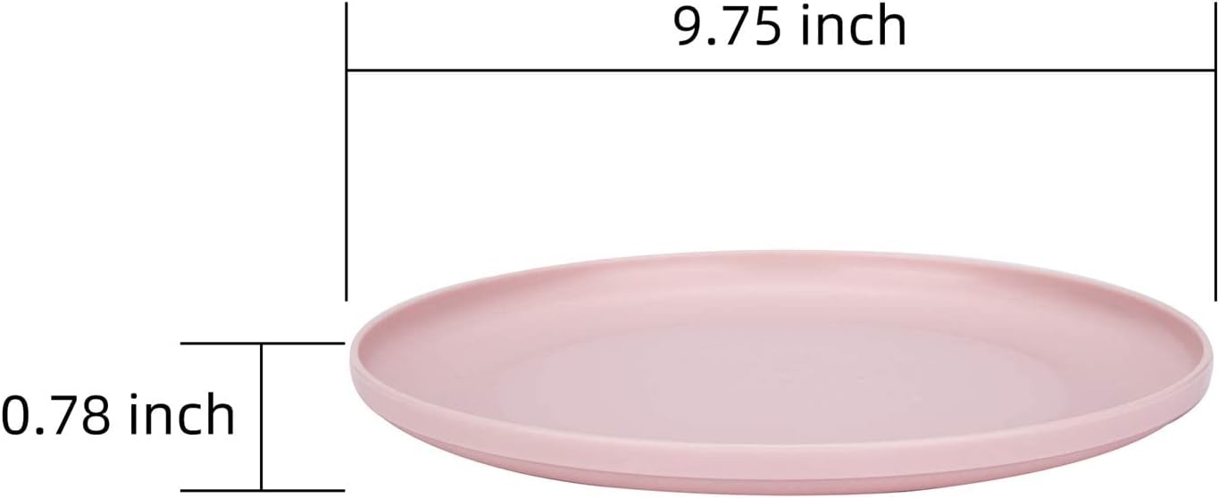 Durable and Reusable 9.75-inch Colored Plastic Dinner Plates set for Parties, Set of 6, Dishwasher Safe, BPA Free