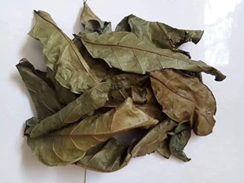 Feuilles d’hysope africaine séchées – 35 g | Plante aromatique & rituelle, infusion bien-être, déco & rituel spirituel