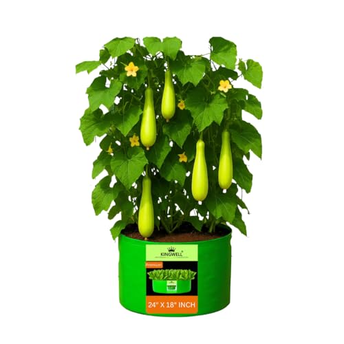 Image of Kingwell Grow Bag 24 X 18 INCH, PACK OF 1 For Terrace Garden Leafy Vegetable Plant Grow Bags Fruits Growing Containers For terrece Gardening (24 X 18 INCH, PACK OF 1)