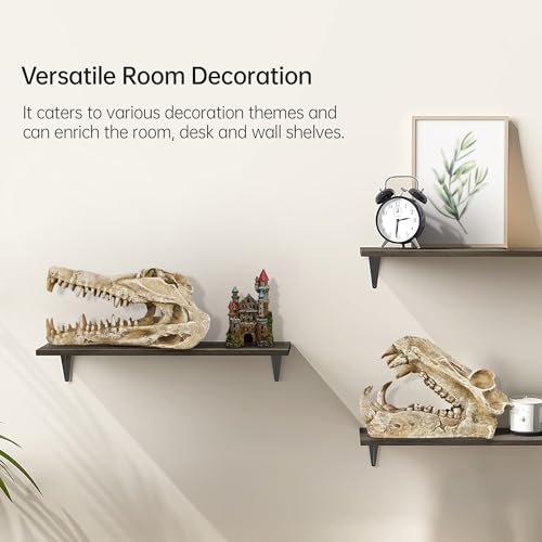 Image of Dinosaur Skull Aquarium Decor - Ideal for Fish Tank Decorations, Terrarium Decor, Aquarium Ornaments, and Bearded Dragon & Gecko Tank Accessories, Gift for Reptile & Fish Lovers