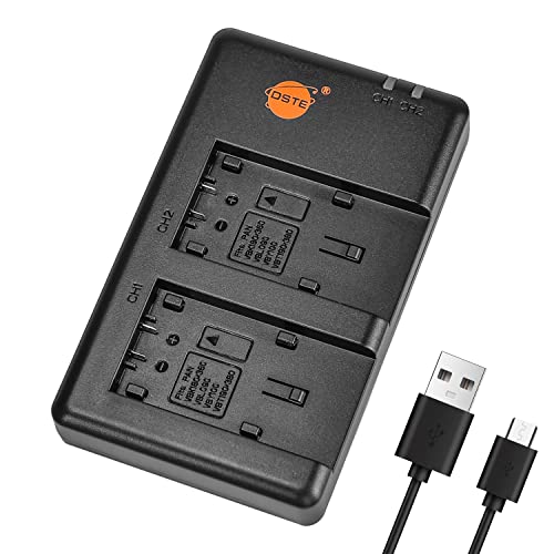 DSTE Fast Charging USB Dual Batterie Chargeur Compatible pour Panasonic VW-VBK180,VW-VBK360,VW-VBL090,VW-VBY100,VW-VBT190,VW-VBT380,HC-V100,HC-V110,HC-V110K,HC-V520MGK,HC-V720GK,HC-W850M,HC-W858