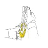 Petzl ROLLCLIP A Pulley Carabiner - Triact-Lock (Gate Side Opening)
