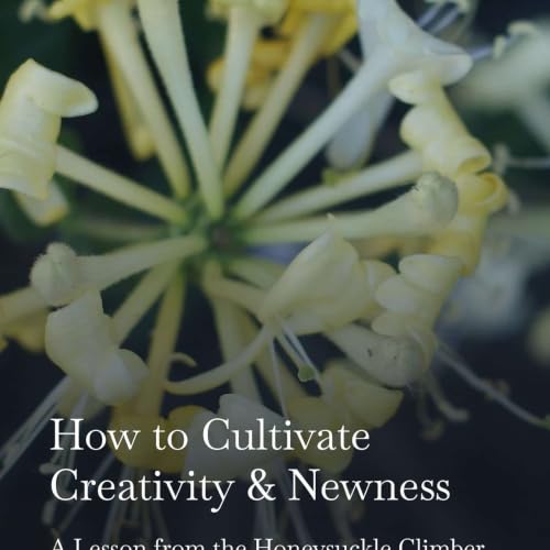 How to Cultivate Creativity and Newness: A life lesson from the Honeysuckle Climber