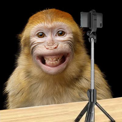 Pau de Selfie Bastão Selfie Controle Remoto Bluetooth Tripé