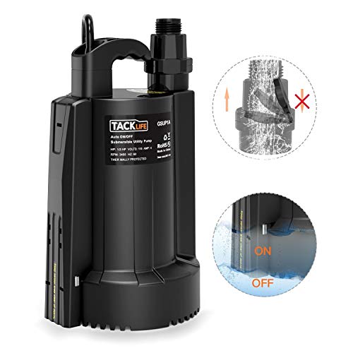 Best Automatic Utility Pumps 10Reviewz