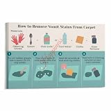 How to Remove Vomit Stains From Carpet Poster Household Cleaning Guide Canvas for Living Room...