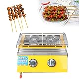 Bbq A Gas Con Bruciatore In Acciaio Inox Per Barbecue Da Giardino Esterno Con Raccogligrasso, Barbecue A Gas Da Tavolo Bbq A Due Fuochi In Acciaio Inox Con Manopole Aggiornate, Perfetto Per C(Color:B)