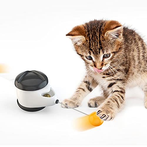 Brinquedos de gato para gatos de interior | Varinha automática de provocação de gatinho com catnip,Q