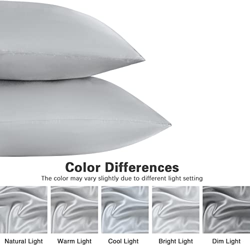 Satin Pillowcase For Hair And Skin, Set Of 2 Silver Grey Silk Pillowcase Queen Satin Pillowcase With Envelope Closure(Silver Grey,20X30 Inches) #TOP5