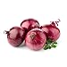 Rote Zwiebeln | Frische Rote Speisezwiebeln (2,5 KG) Rot wie günstig Kaufen-Rote Zwiebeln | Frische Rote Speisezwiebeln (2,5 KG)