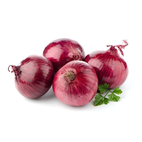 Rote Zwiebeln | Frische Rote Speisezwiebeln (2 5 KG)