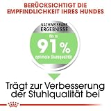 ROYAL CANIN Digestive Care MEDIUM Trockennahrung für Hunde – 12 kg