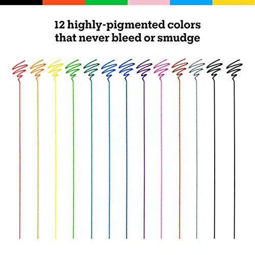 Art-N-Fly Colored Fine Point Pens Set Of 12 - Drawing Fineliner Pens With Japanese Archival Ink 0.3Mm - No Bleed Multi Color Marker Fine Tip Pens For Bullet Journaling, Coloring, Drawing & Detailing #TOP6