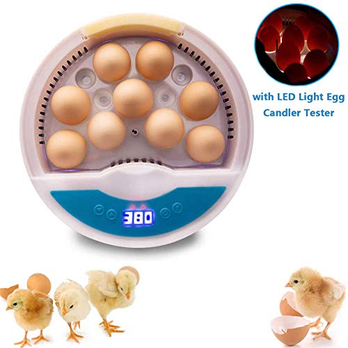 PETAMANIM Automatic Egg Incubator, 9 Eggs Incubator Small Egg Incubators Mini Home Hatching Equipment with LED Light Egg Candler Tester and Temperature Control for Chicken Duck Bird Quail