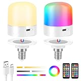 GuKKK E14 Bombilla Recargable USB con Mando, 2 PACK RGB Bombilla LED Regulable, 5W Portátiles Recargable con Función De Temporización, 2000 Mah Luz de Emergencia Acampar con Gancho
